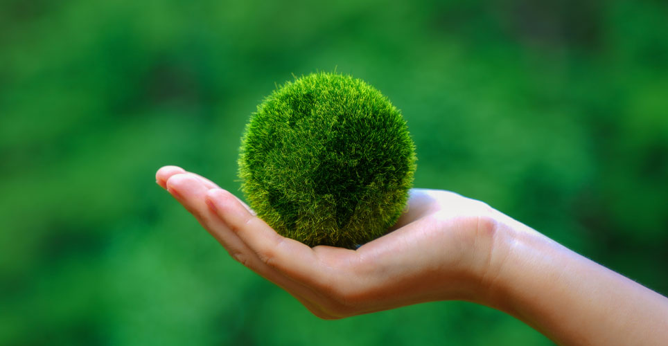 green background w/ a hand holding a circular green Earth in its palm