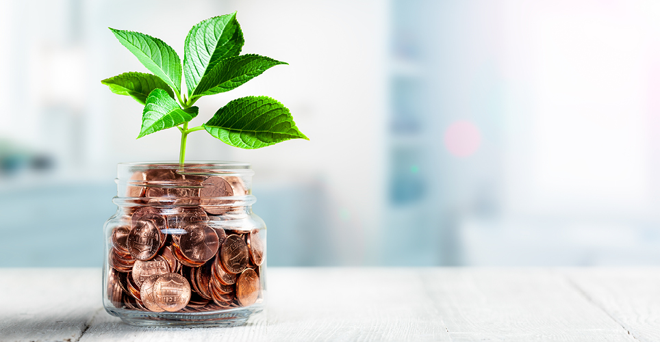 a jar full of pennies with a plant growing out of it