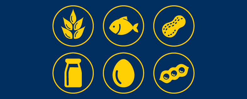 illustrations of common food allergens like milk, grain, fish and nuts 