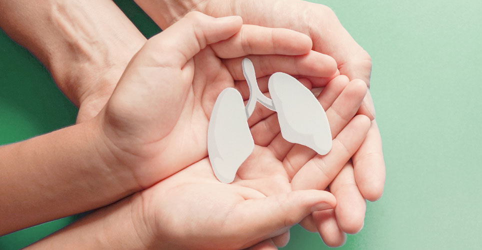 A tiny set of white lungs being held inside the palms of two white hands