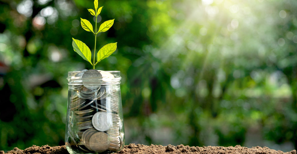 Close up of a jar of coins with a small green plant sprouted at the top