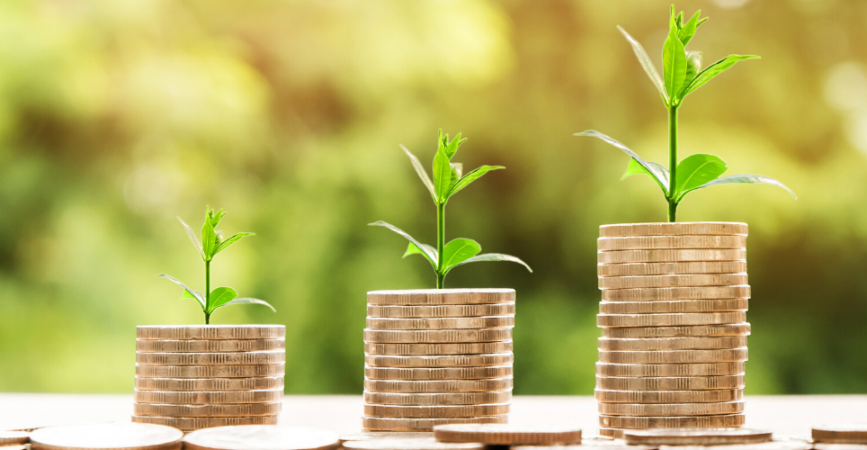 Three stack of gold coins with small green plants growing out of the tops of them, with the coins in order from smallest stack to largest