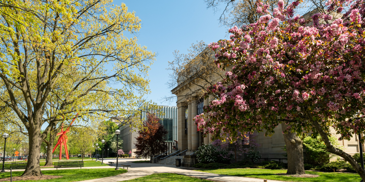 The University of Michigan Museum of Art (UMMA)